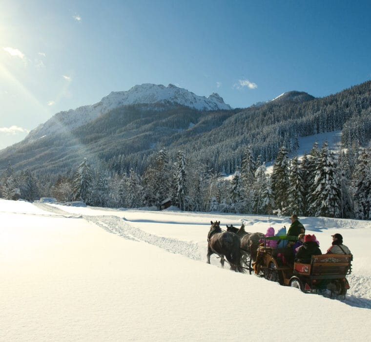 Hofgut-wagrain-apartment-lifestyle-resort-erleben-im-winter-Familienwinter-Pferdeschlittenfahrten