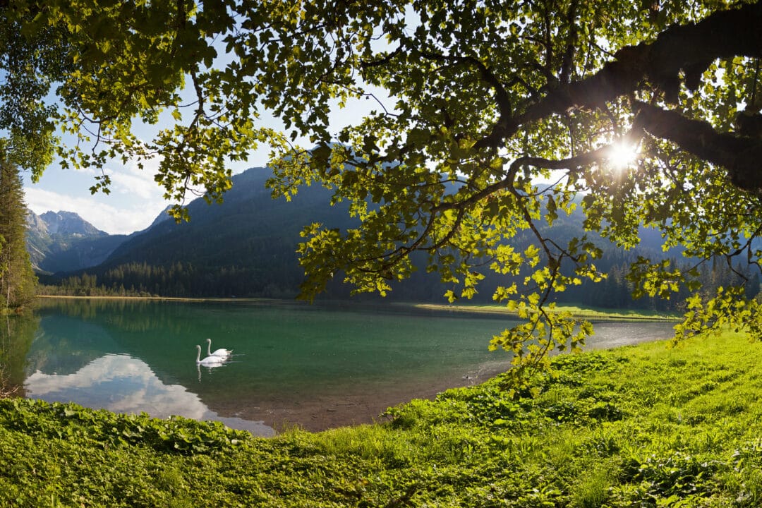 Hofgut-Wagrain-Apartment-erleben-im-sommer-Jaegersee