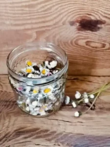 Friskplukkede margueritter i en kærligt dekoreret krukke - naturlige, håndplukkede og fulde af forårets glæder. Et stykke naturglæde til dit hjem eller som inspiration til DIY-wellness i bondegårdsstil.