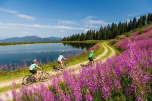 Family refreshing themselves at a rustic mountain spring during their cycle tour - crystal-clear spring water, smiling faces and an unforgettable moment in the Salzburg countryside.