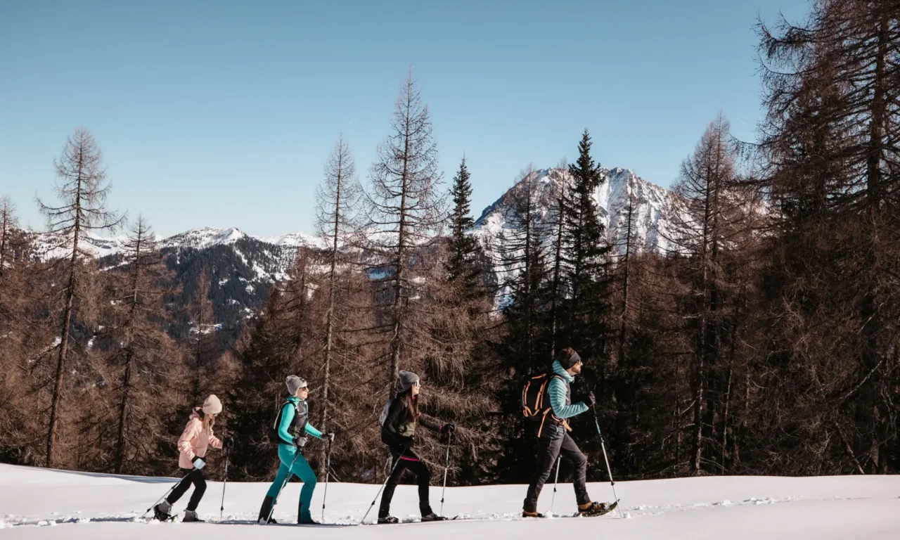 Group snowshoeing through a winter mountain landscape with snow-covered peaks in the background.