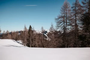 Winter tranquillity and far-reaching views - snow-covered landscape with views of the Salzburg Alps around Hofgut Wagrain, perfect for unforgettable moments in nature.