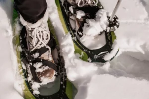 Winter happiness with every step - snowshoes on fresh powder snow on a guided tour around Hofgut Wagrain.