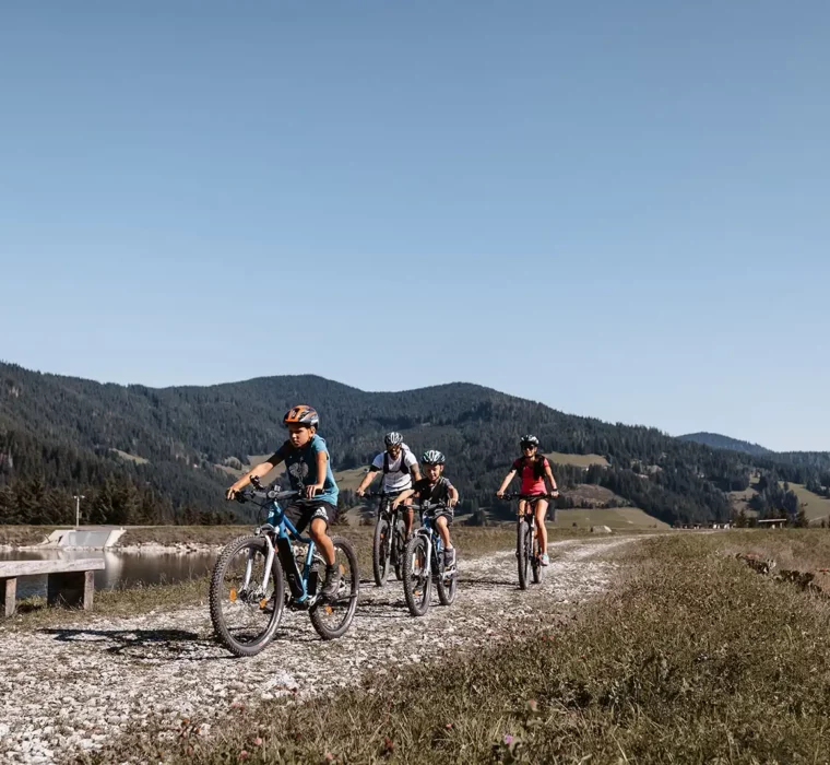 Een gezin fietst op een grindpad door een berglandschap met weelderige weiden en bossen.
