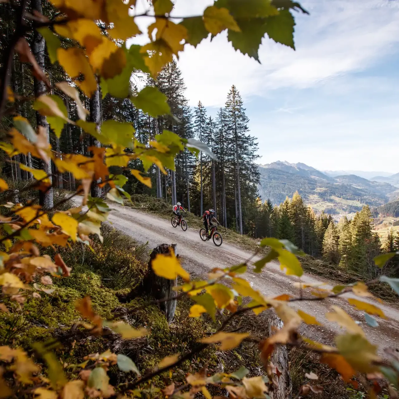 Dva cyklisté na horských kolech na panoramatické stezce s výhledem na Salcbursko - zlatý podzim ve Wagrainu.