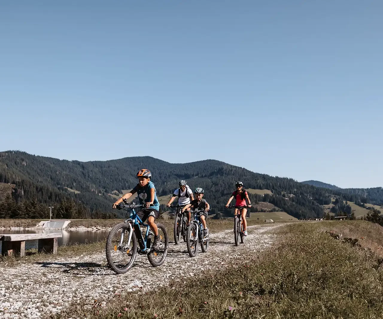Eine Familie fährt mit Fahrrädern auf einem Schotterweg durch eine Berglandschaft mit üppigen Wiesen und Wäldern.